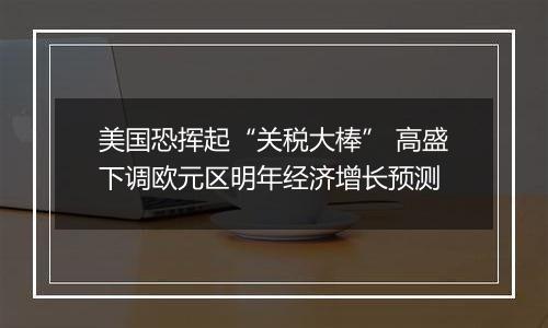 美国恐挥起“关税大棒” 高盛下调欧元区明年经济增长预测