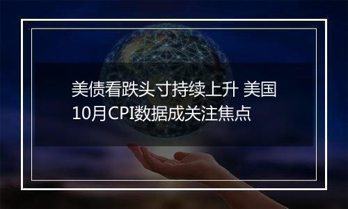 美债看跌头寸持续上升 美国10月CPI数据成关注焦点