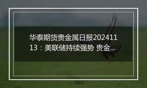 华泰期货贵金属日报20241113：美联储持续强势 贵金属偏弱震荡