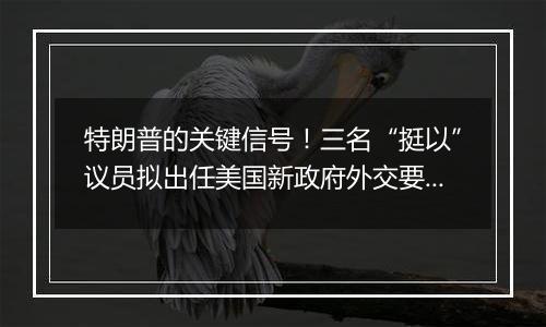 特朗普的关键信号！三名“挺以”议员拟出任美国新政府外交要员