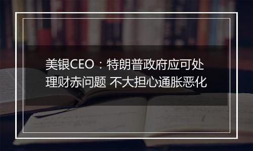 美银CEO：特朗普政府应可处理财赤问题 不大担心通胀恶化