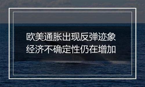 欧美通胀出现反弹迹象 经济不确定性仍在增加