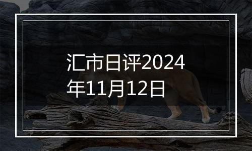 汇市日评2024年11月12日