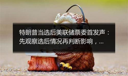 特朗普当选后美联储票委首发声：先观察选后情况再判断影响，准备好应对风险