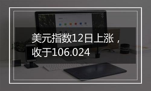 美元指数12日上涨，收于106.024