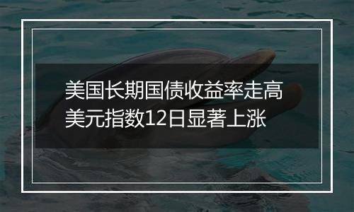 美国长期国债收益率走高 美元指数12日显著上涨