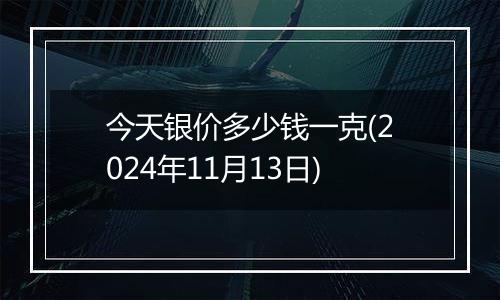 今天银价多少钱一克(2024年11月13日)