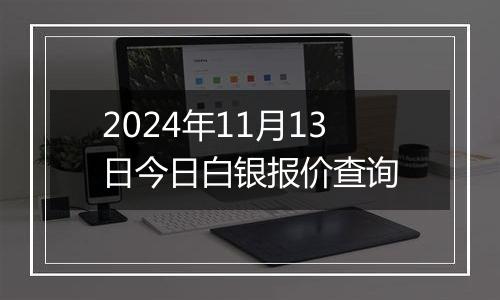 2024年11月13日今日白银报价查询