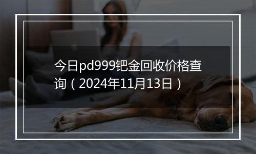 今日pd999钯金回收价格查询（2024年11月13日）