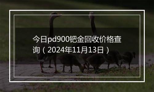 今日pd900钯金回收价格查询（2024年11月13日）