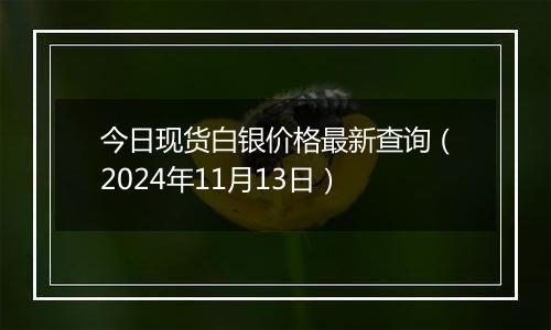 今日现货白银价格最新查询（2024年11月13日）