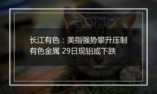 长江有色：美指强势攀升压制有色金属 29日现铝或下跌