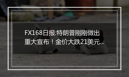 FX168日报:特朗普刚刚做出重大宣布！金价大跌21美元的原因在这 这一幕恐让美联储暂停降息