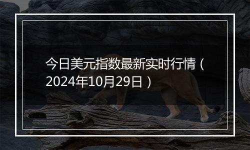 今日美元指数最新实时行情（2024年10月29日）