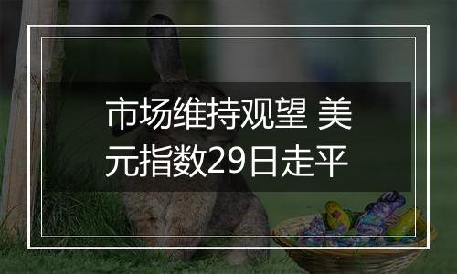 市场维持观望 美元指数29日走平