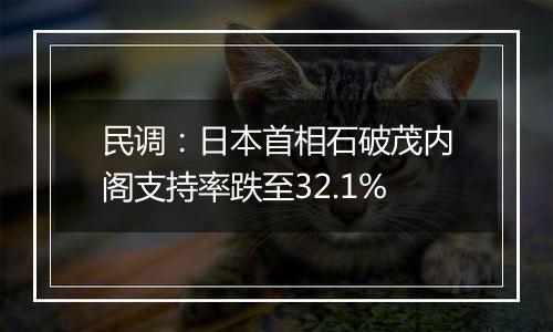 民调：日本首相石破茂内阁支持率跌至32.1%