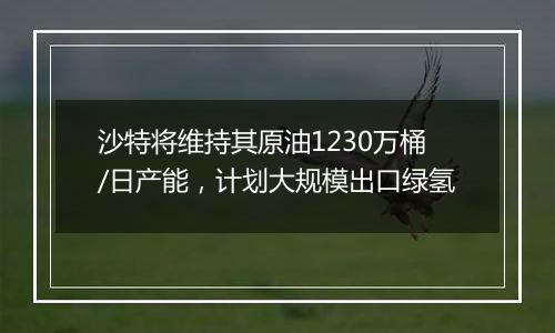 沙特将维持其原油1230万桶/日产能，计划大规模出口绿氢