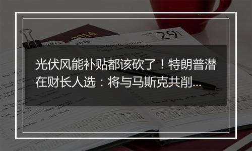 光伏风能补贴都该砍了！特朗普潜在财长人选：将与马斯克共削联邦支出