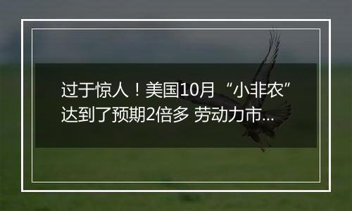 过于惊人！美国10月“小非农”达到了预期2倍多 劳动力市场充满韧性