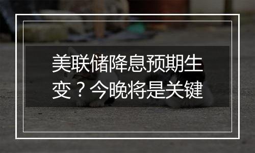 美联储降息预期生变？今晚将是关键