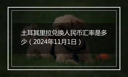 土耳其里拉兑换人民币汇率是多少（2024年11月1日）