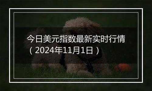 今日美元指数最新实时行情（2024年11月1日）