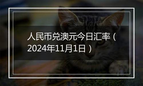 人民币兑澳元今日汇率（2024年11月1日）