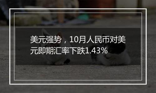 美元强势，10月人民币对美元即期汇率下跌1.43%