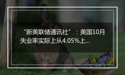 “新美联储通讯社”：美国10月失业率实际上从4.05%上升到了4.14%