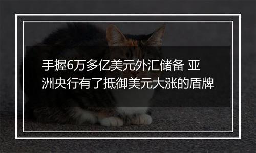 手握6万多亿美元外汇储备 亚洲央行有了抵御美元大涨的盾牌