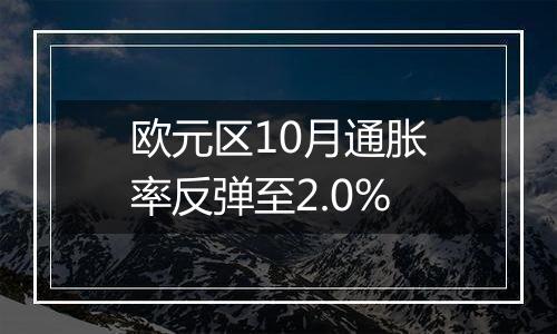 欧元区10月通胀率反弹至2.0%