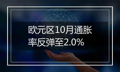 欧元区10月通胀率反弹至2.0%