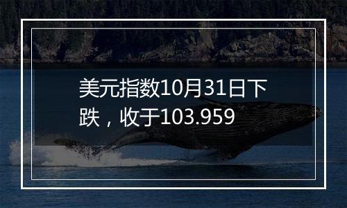 美元指数10月31日下跌，收于103.959