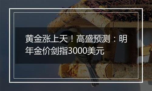 黄金涨上天！高盛预测：明年金价剑指3000美元