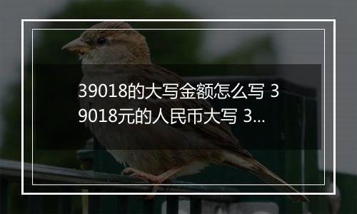 39018的大写金额怎么写 39018元的人民币大写 39018元的数字大写