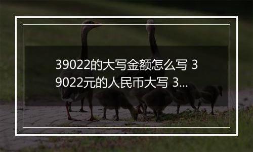 39022的大写金额怎么写 39022元的人民币大写 39022元的数字大写