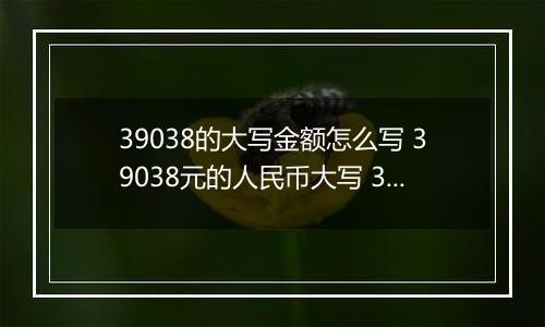 39038的大写金额怎么写 39038元的人民币大写 39038元的数字大写