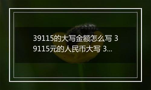 39115的大写金额怎么写 39115元的人民币大写 39115元的数字大写