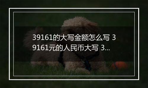 39161的大写金额怎么写 39161元的人民币大写 39161元的数字大写