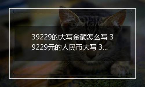 39229的大写金额怎么写 39229元的人民币大写 39229元的数字大写