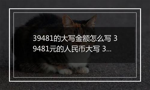 39481的大写金额怎么写 39481元的人民币大写 39481元的数字大写