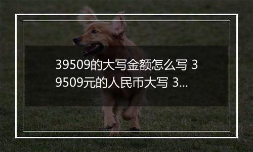 39509的大写金额怎么写 39509元的人民币大写 39509元的数字大写