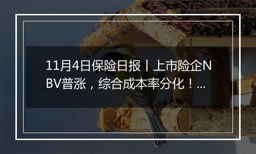 11月4日保险日报丨上市险企NBV普涨，综合成本率分化！“赚大钱”的险资如何炒股？最新重仓股名单出炉！