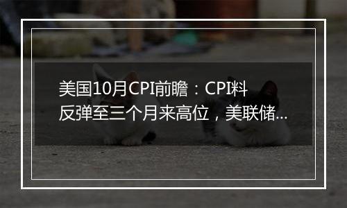 美国10月CPI前瞻：CPI料反弹至三个月来高位，美联储后续降息路径成谜