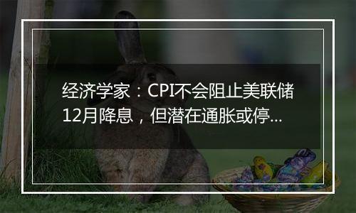 经济学家：CPI不会阻止美联储12月降息，但潜在通胀或停留在高位