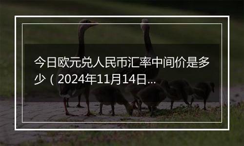 今日欧元兑人民币汇率中间价是多少（2024年11月14日）