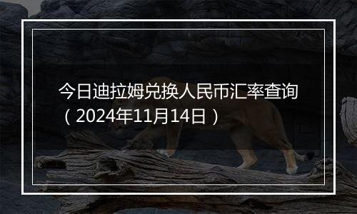 今日迪拉姆兑换人民币汇率查询（2024年11月14日）