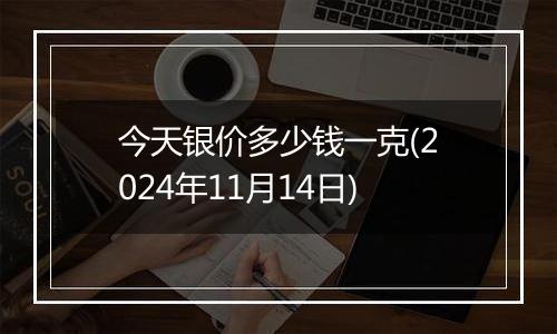 今天银价多少钱一克(2024年11月14日)