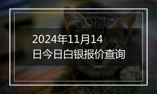 2024年11月14日今日白银报价查询