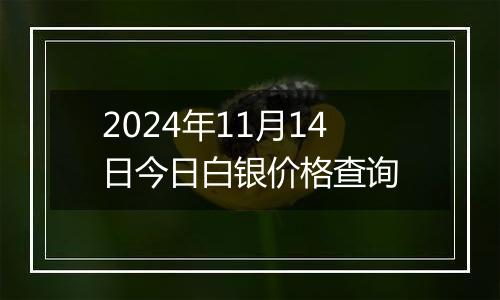 2024年11月14日今日白银价格查询